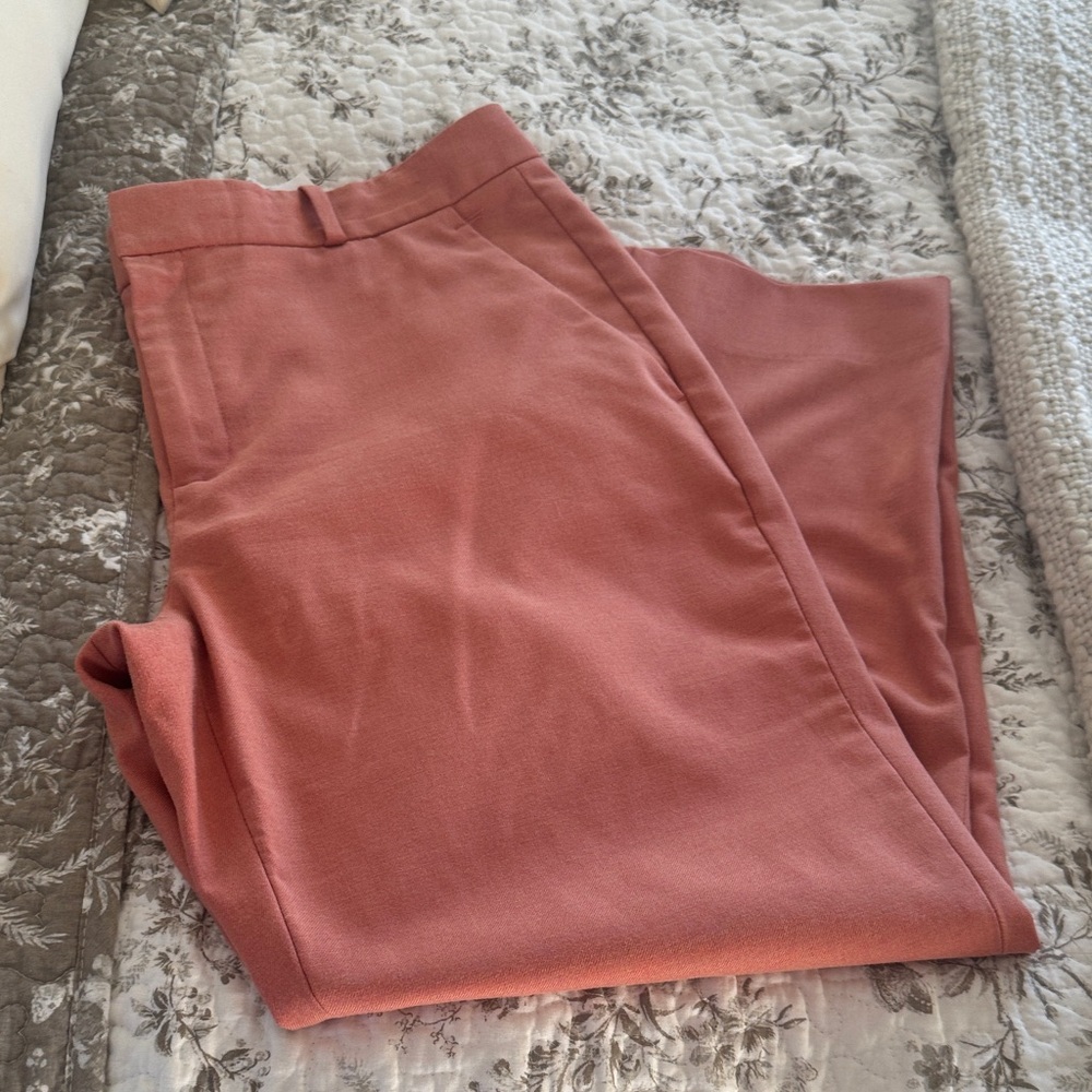 Banana Republic Pink Ankle Pants